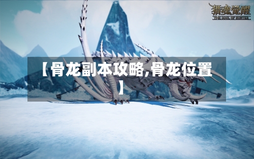 【骨龙副本攻略,骨龙位置】-第1张图片