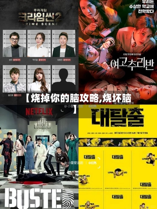 【烧掉你的脑攻略,烧坏脑】-第1张图片