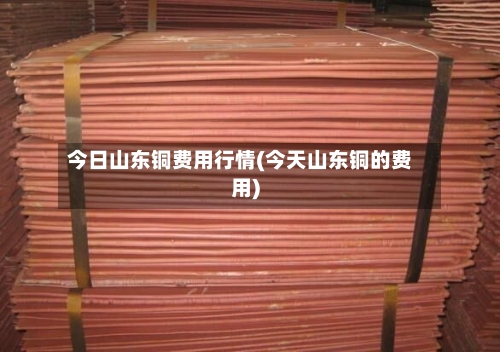 今日山东铜费用行情(今天山东铜的费用)-第1张图片