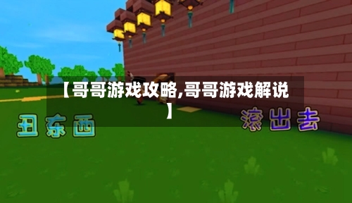 【哥哥游戏攻略,哥哥游戏解说】-第1张图片