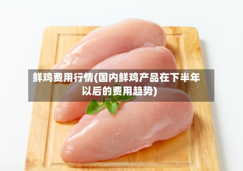 鲜鸡费用行情(国内鲜鸡产品在下半年以后的费用趋势)-第1张图片