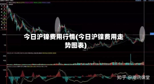 今日沪镍费用行情(今日沪镍费用走势图表)-第1张图片