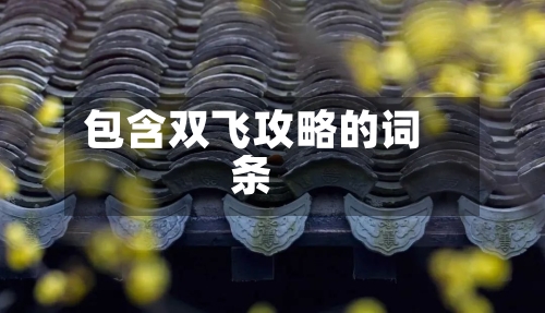 包含双飞攻略的词条-第1张图片