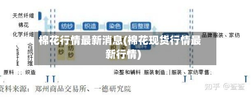 棉花行情最新消息(棉花现货行情最新行情)-第1张图片
