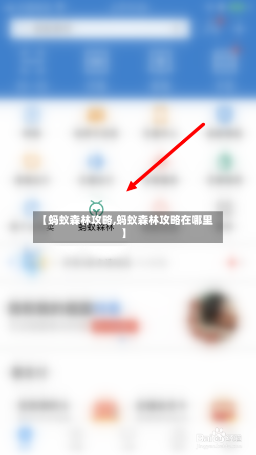 【蚂蚁森林攻略,蚂蚁森林攻略在哪里】-第1张图片