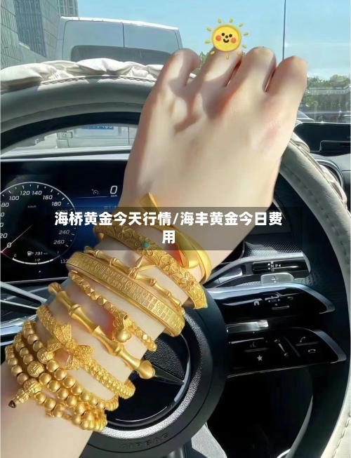 海桥黄金今天行情/海丰黄金今日费用-第1张图片