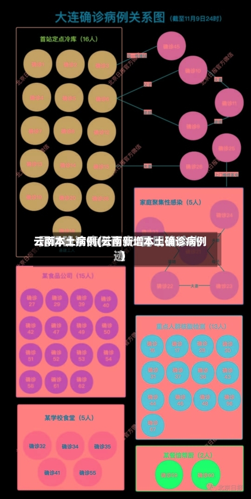 云南本土病例(云南新增本土确诊病例)
