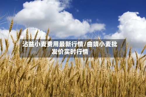 沾益小麦费用最新行情/曲靖小麦批发价实时行情-第1张图片