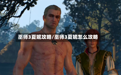 巫师3夏妮攻略/巫师3夏妮怎么攻略-第1张图片