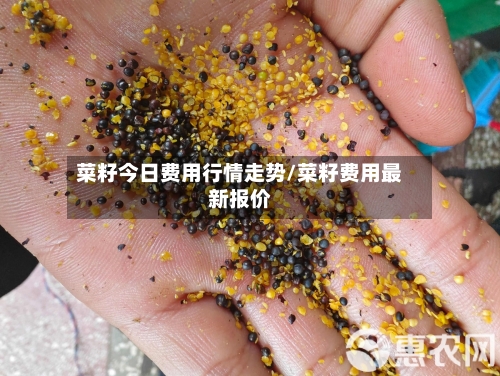 菜籽今日费用行情走势/菜籽费用最新报价-第1张图片