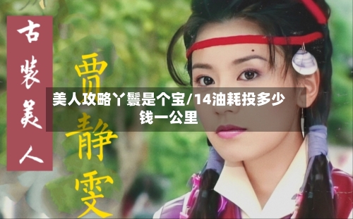 美人攻略丫鬟是个宝/14油耗投多少钱一公里-第1张图片