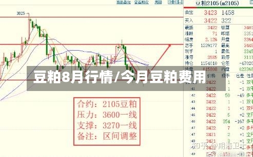 豆粕8月行情/今月豆粕费用-第2张图片