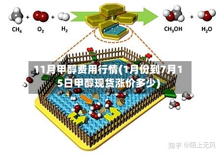 11月甲醇费用行情(1月份到7月15日甲醇现货涨价多少)-第1张图片