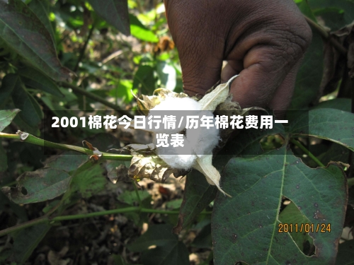 2001棉花今日行情/历年棉花费用一览表-第1张图片