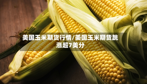 美国玉米期货行情/美国玉米期货跳涨超7美分-第1张图片