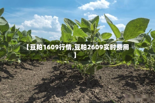 【豆粕1609行情,豆粕2609实时费用】-第1张图片