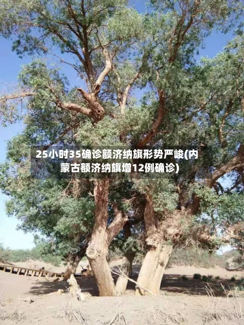 25小时35确诊额济纳旗形势严峻(内蒙古额济纳旗增12例确诊)-第1张图片