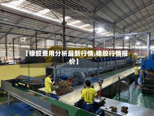 【橡胶费用分析最新行情,橡胶行情报价】