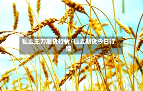强麦主力期货行情/强麦期货今日行情-第1张图片