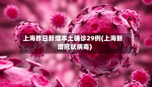 上海昨日新增本土确诊29例(上海新增冠状病毒)-第1张图片