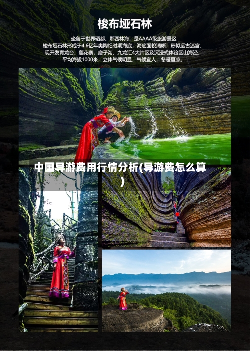 中国导游费用行情分析(导游费怎么算)-第1张图片