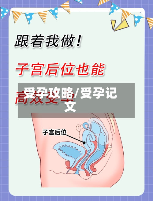受孕攻略/受孕记文-第1张图片