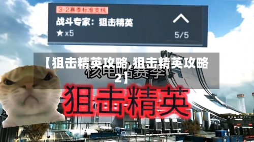 【狙击精英攻略,狙击精英攻略2】-第1张图片