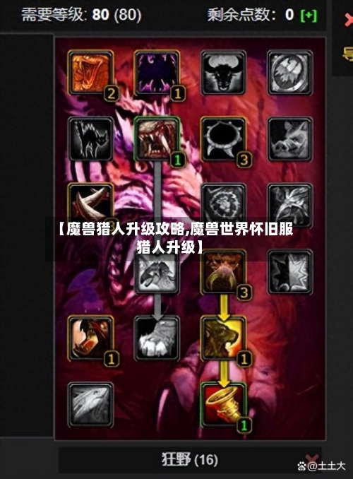 【魔兽猎人升级攻略,魔兽世界怀旧服猎人升级】-第1张图片