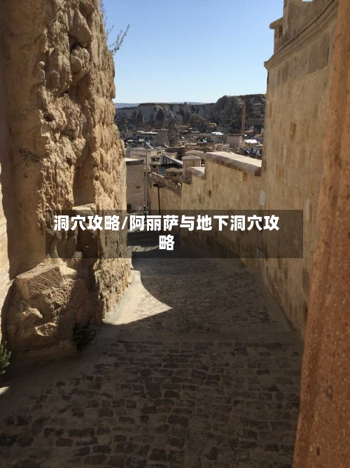 洞穴攻略/阿丽萨与地下洞穴攻略-第1张图片