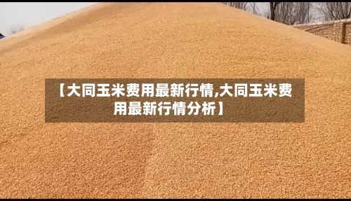 【大同玉米费用最新行情,大同玉米费用最新行情分析】-第1张图片