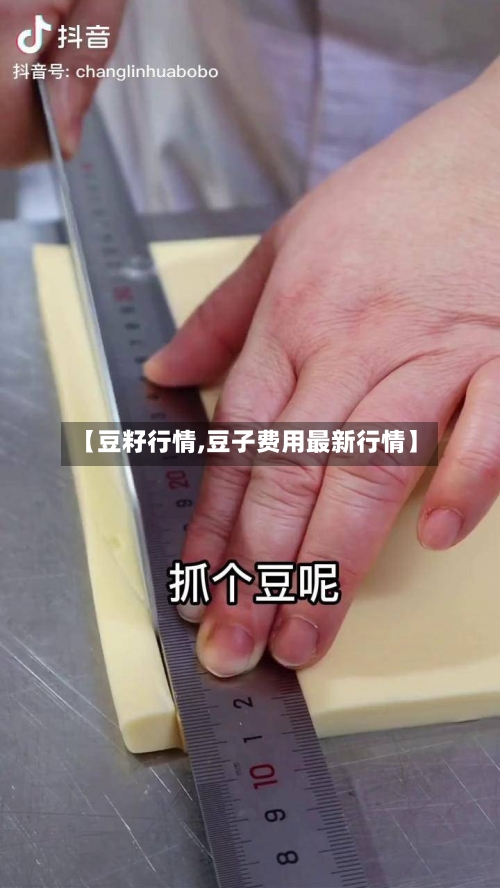 【豆籽行情,豆子费用最新行情】-第2张图片