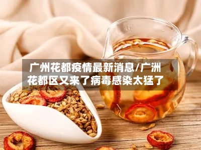 广州花都疫情最新消息/广洲花都区又来了病毒感染太猛了-第1张图片