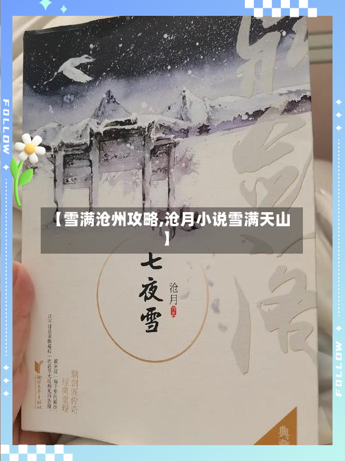 【雪满沧州攻略,沧月小说雪满天山】-第1张图片