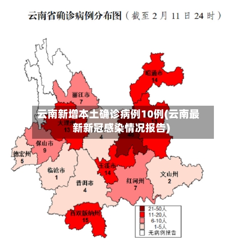 云南新增本土确诊病例10例(云南最新新冠感染情况报告)-第3张图片