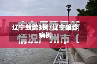 辽宁新增3例/辽宁确诊病例