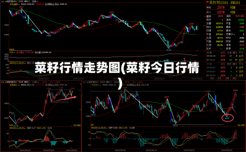 菜籽行情走势图(菜籽今日行情)-第2张图片