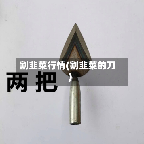 割韭菜行情(割韭菜的刀)-第1张图片