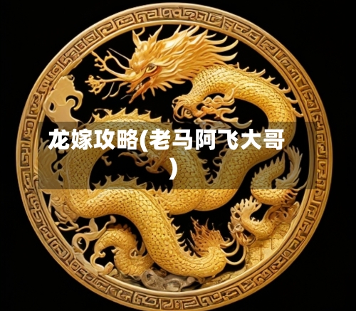 龙嫁攻略(老马阿飞大哥)-第1张图片