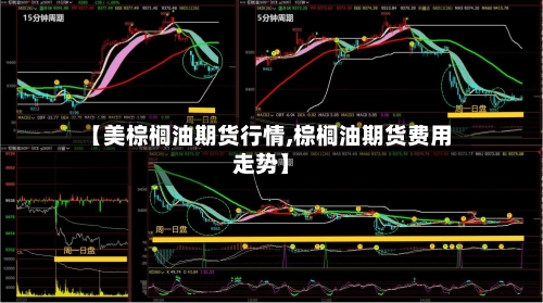【美棕榈油期货行情,棕榈油期货费用走势】-第1张图片