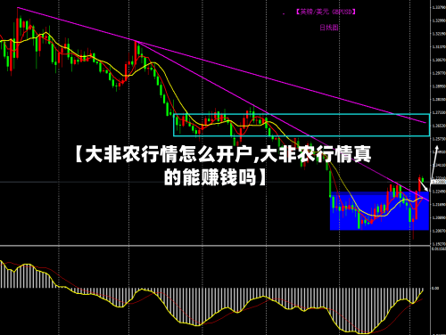 【大非农行情怎么开户,大非农行情真的能赚钱吗】-第1张图片