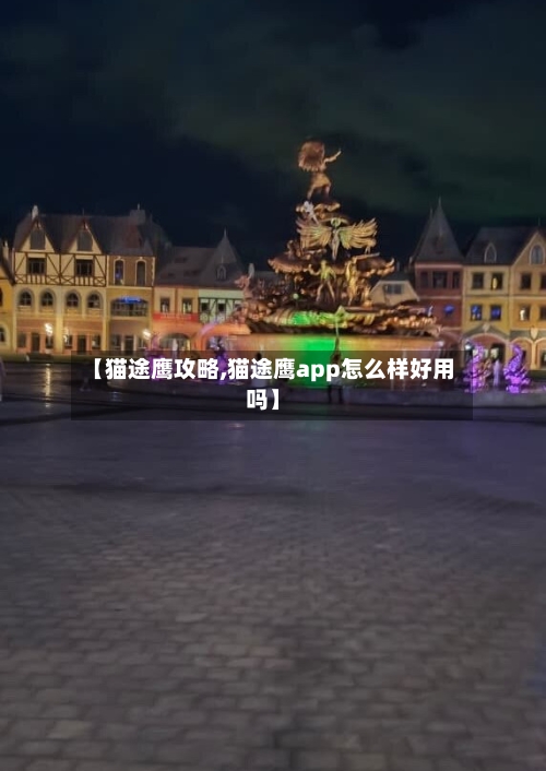 【猫途鹰攻略,猫途鹰app怎么样好用吗】-第1张图片