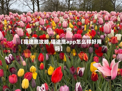 【猫途鹰攻略,猫途鹰app怎么样好用吗】-第2张图片