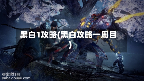 黑白1攻略(黑白攻略一周目)-第1张图片