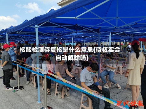 核酸检测待复核是什么意思(待核实会自动解除吗)-第2张图片