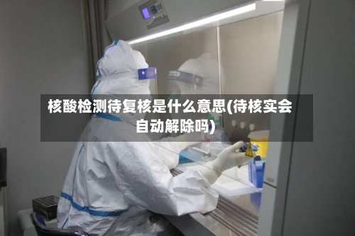 核酸检测待复核是什么意思(待核实会自动解除吗)-第1张图片