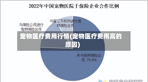 宠物医疗费用行情(宠物医疗费用高的原因)-第1张图片