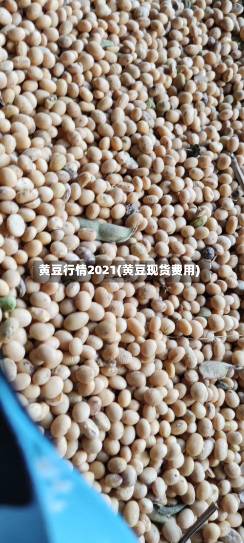 黄豆行情2021(黄豆现货费用)-第2张图片