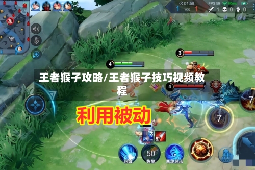 王者猴子攻略/王者猴子技巧视频教程-第1张图片