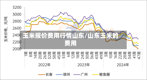 玉米报价费用行情山东/山东玉米的费用-第1张图片