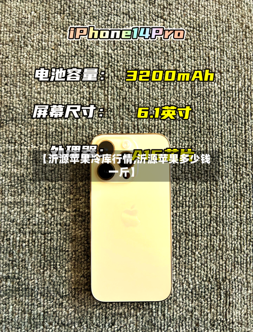 【沂源苹果冷库行情,沂源苹果多少钱一斤】-第1张图片